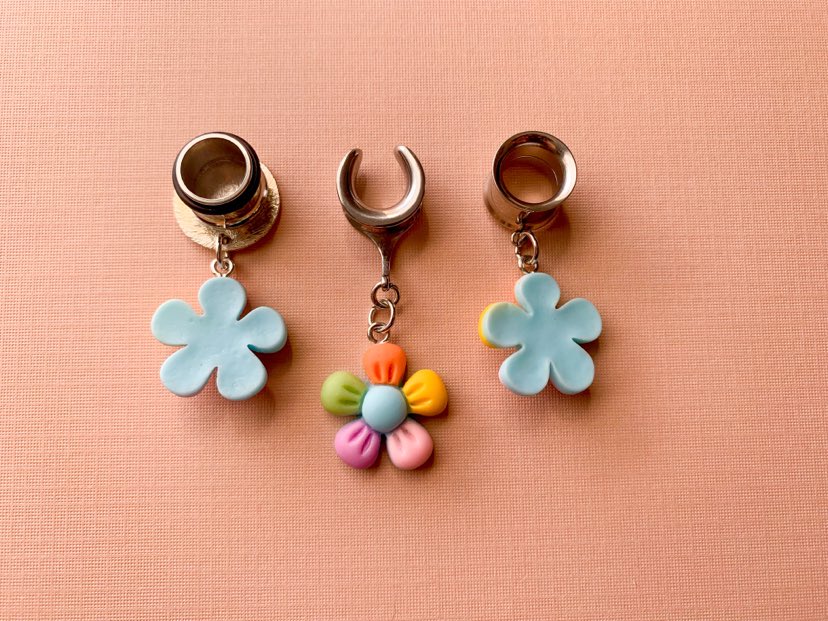 Small Colorful Daisies