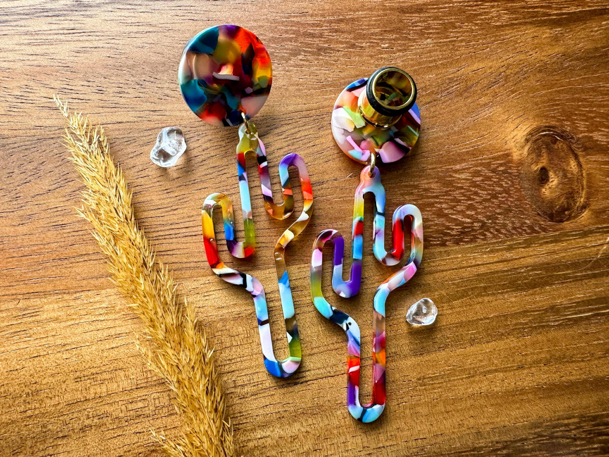 Acetate Rainbow Cactus Dangles Plug Earrings