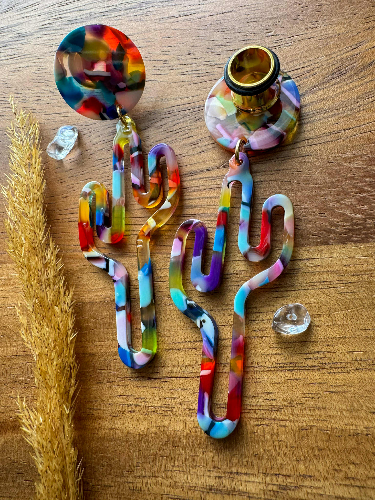 Acetate Rainbow Cactus Dangles Plug Earrings