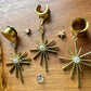 Gold Stars With Faux Pearl Plug Earrings