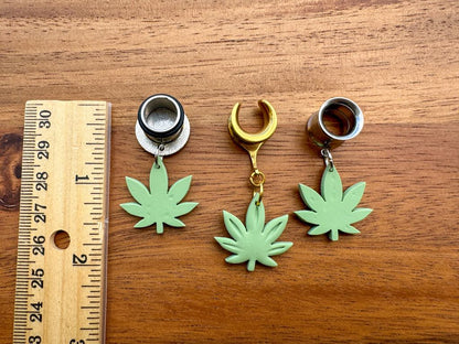 Gold or Silver Devil's Lettuce