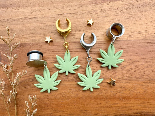 Gold or Silver Devil's Lettuce