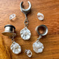 Mini Shell & Pearl Dangles Plug Earrings