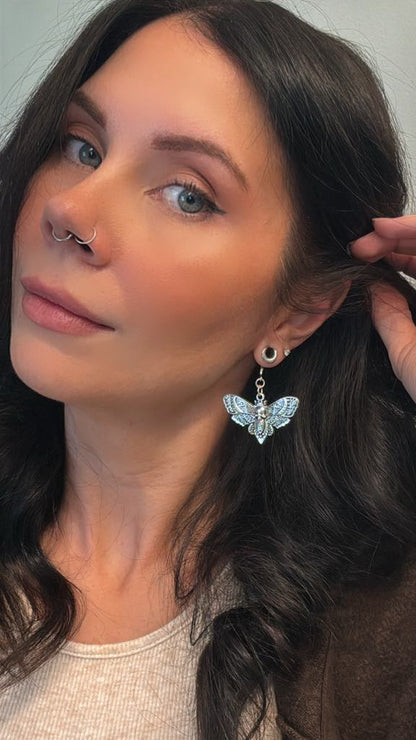 Silver Death Head Moths